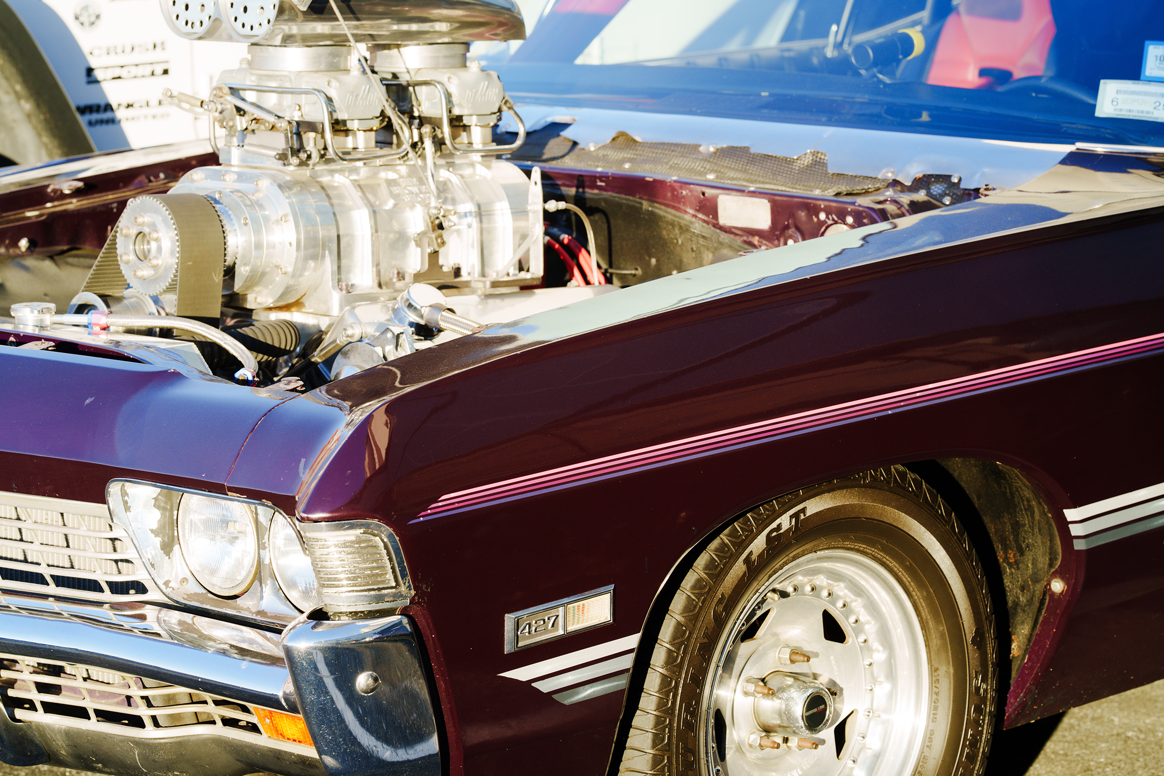 Endless Summer Cruisin